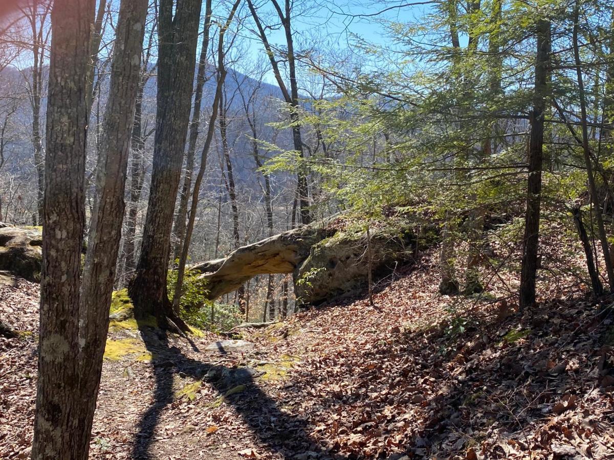 Pine Mountain Inn Pineville Kültér fotó